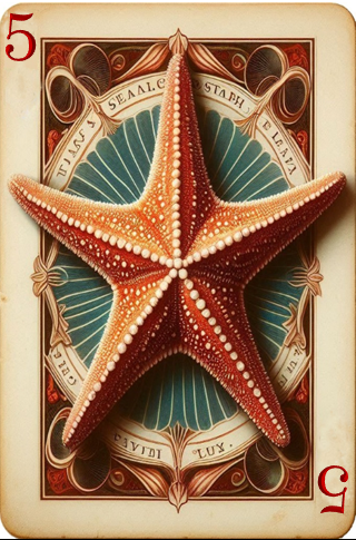 star5card.png